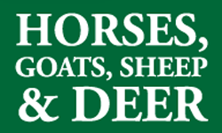 horses-goats-sheep-deer-module