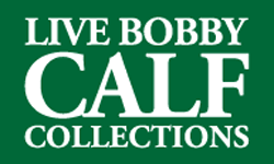 live-bobby-calf-collections-module