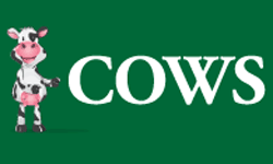 surplus-cattle-calves-module